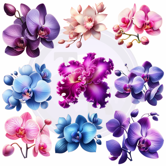 Orchids 10x10