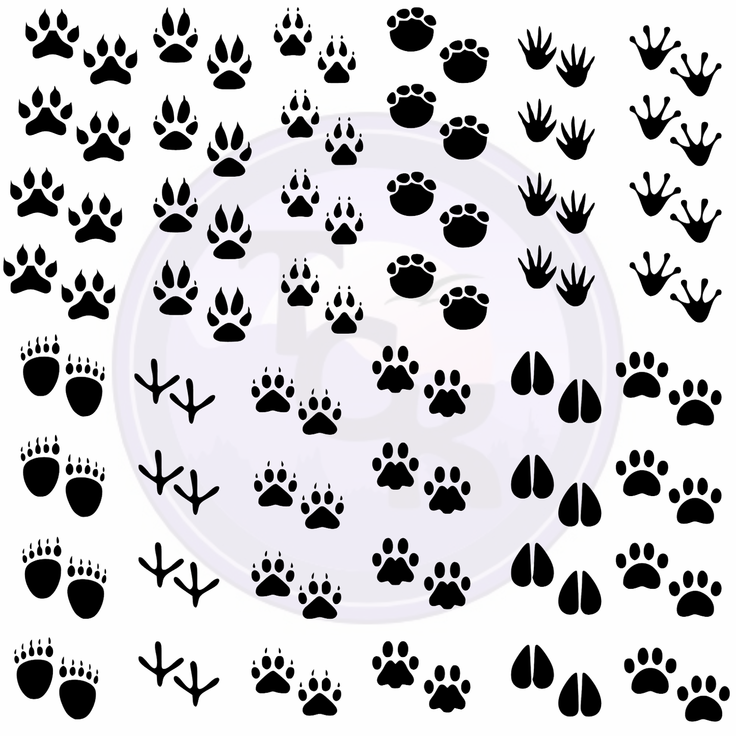 Assorted Animal Prints