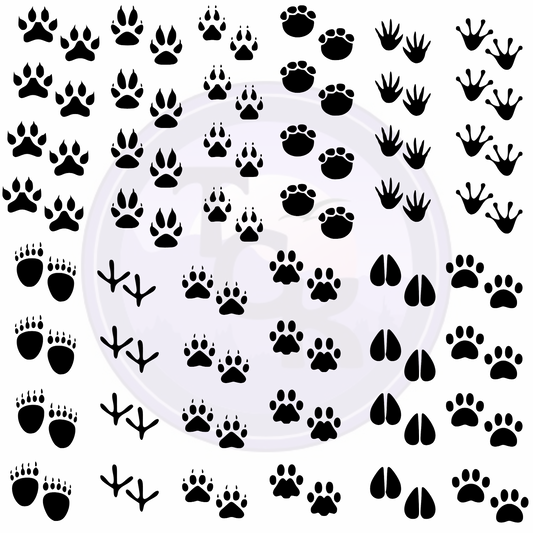 Assorted Animal Prints