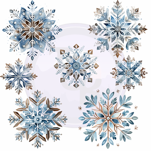 Western Snowflakes 10x10